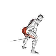 Cable Pull Through demonstration animation