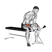 Cable Reverse Wrist Curl demonstration animation