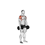 Dumbbell Cuban Press demonstration animation