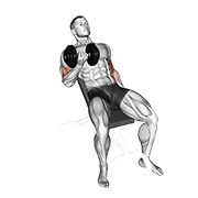 Dumbbell Incline Curl demonstration animation
