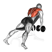 Dumbbell Incline Row demonstration animation