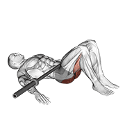 Glute Bridge demonstration animation