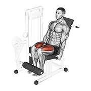 Leg Extension demonstration animation