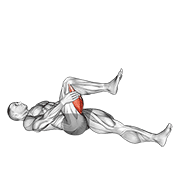 Lying Hamstring Stretch demonstration animation