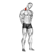 Neck Side Stretch demonstration animation