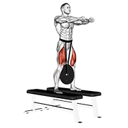 Squat demonstration animation