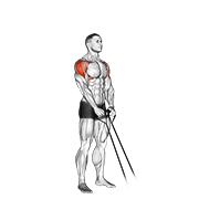 Y Raise demonstration animation